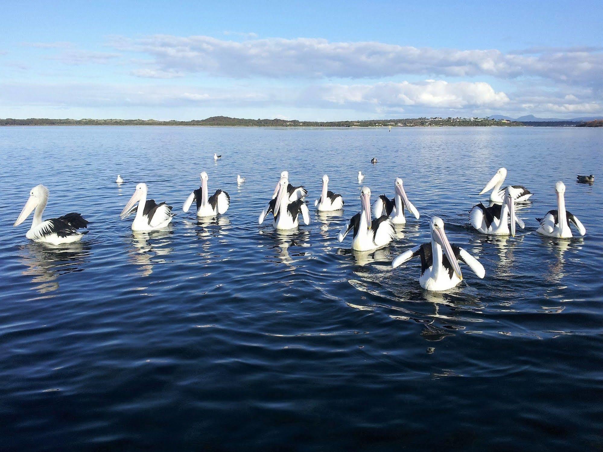 سانت هيلينز Pelican Point Sanctuary المظهر الخارجي الصورة